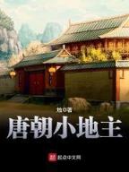 mg娱乐